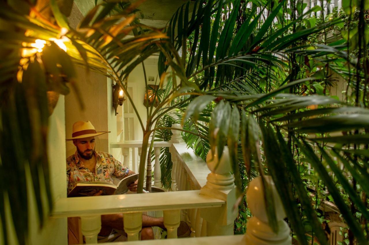 Leones De Alba Boutique Cartagène